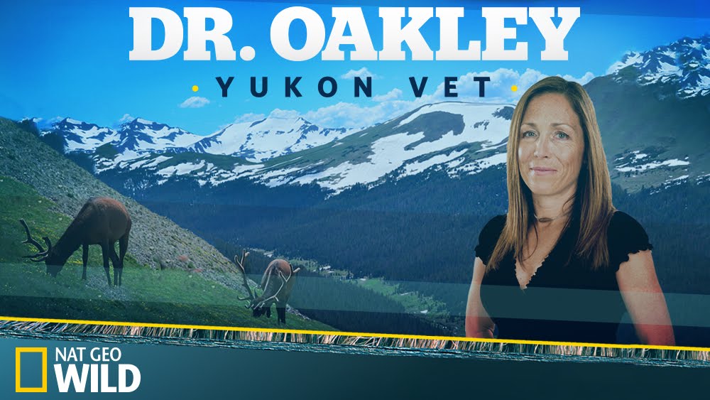 Dr. Oakley, Yukon Vet 2022 New TV Show - 2022/2023 TV Series Premiere Dates  - New Shows TV